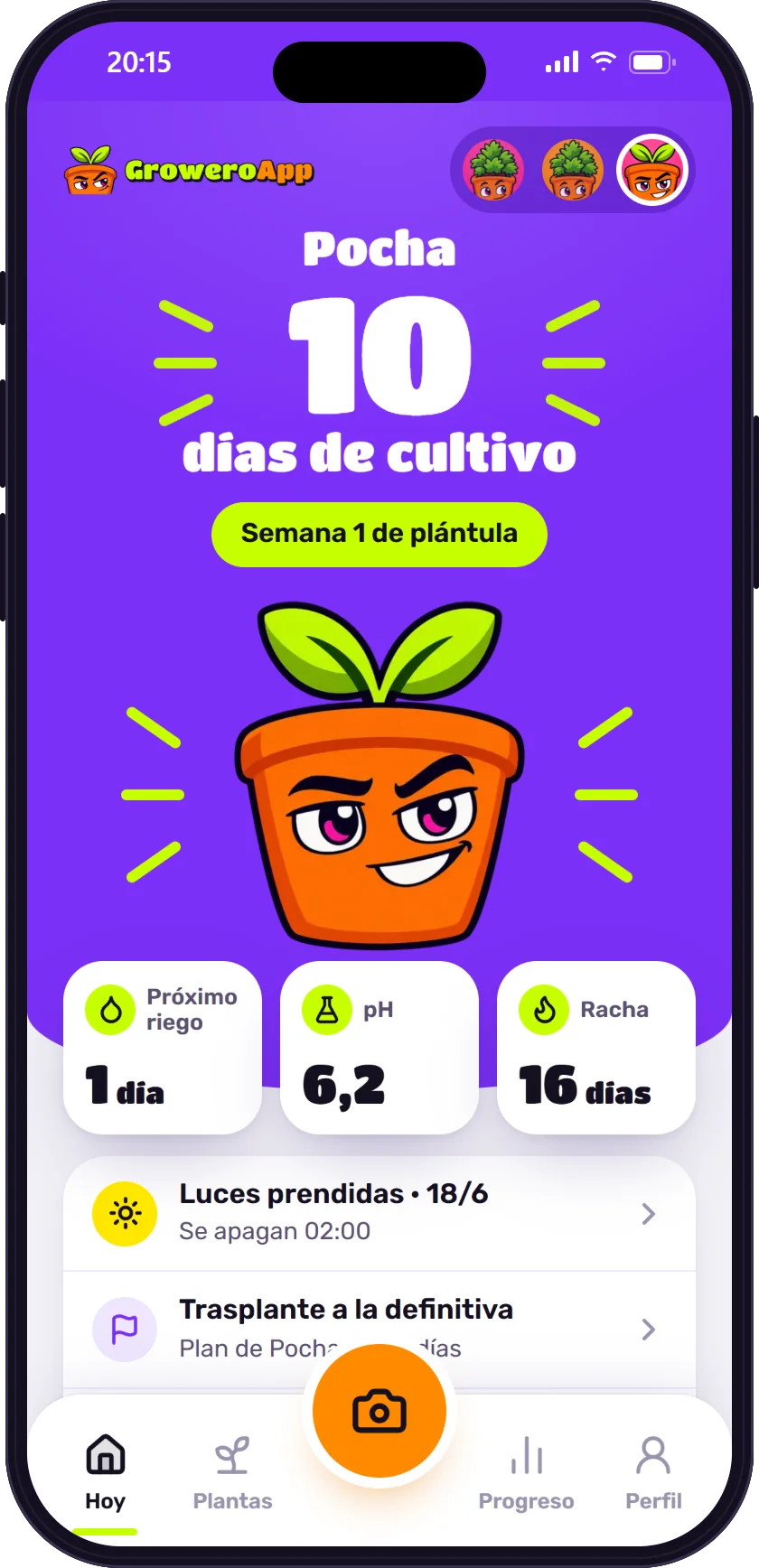 Pantalla Hoy de GroweroApp: Pocha, 10 días de cultivo, semana 1 de plántula, próximo riego y tareas del día