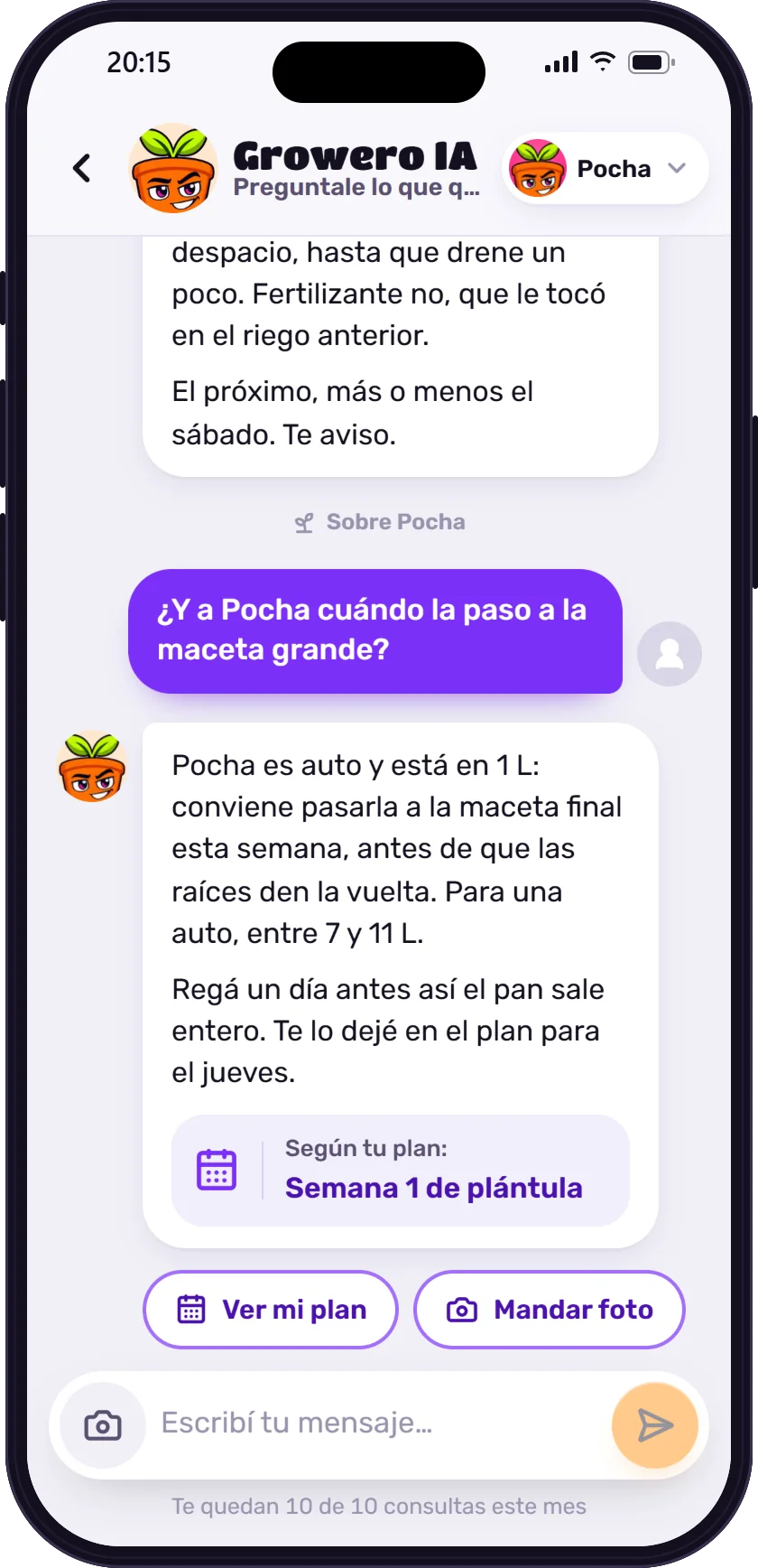Chat con Growero IA respondiendo cuándo trasplantar una plántula según su plan